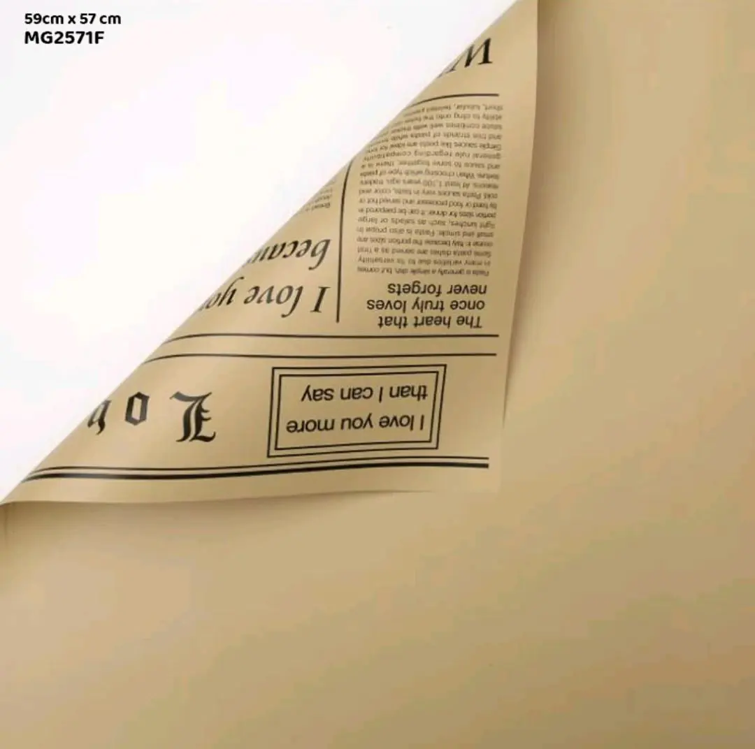 Wrapping Paper Sheet D3