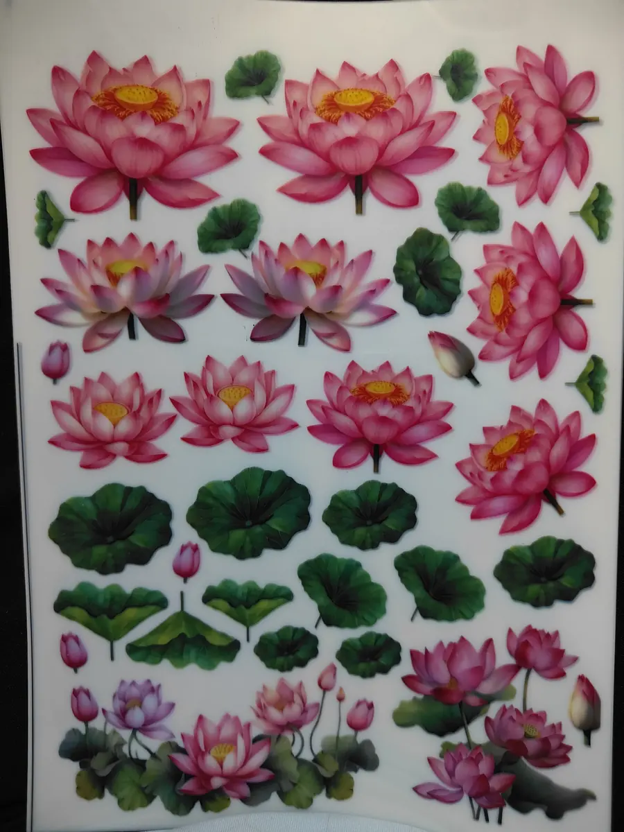 A5 Insert Sheet E17