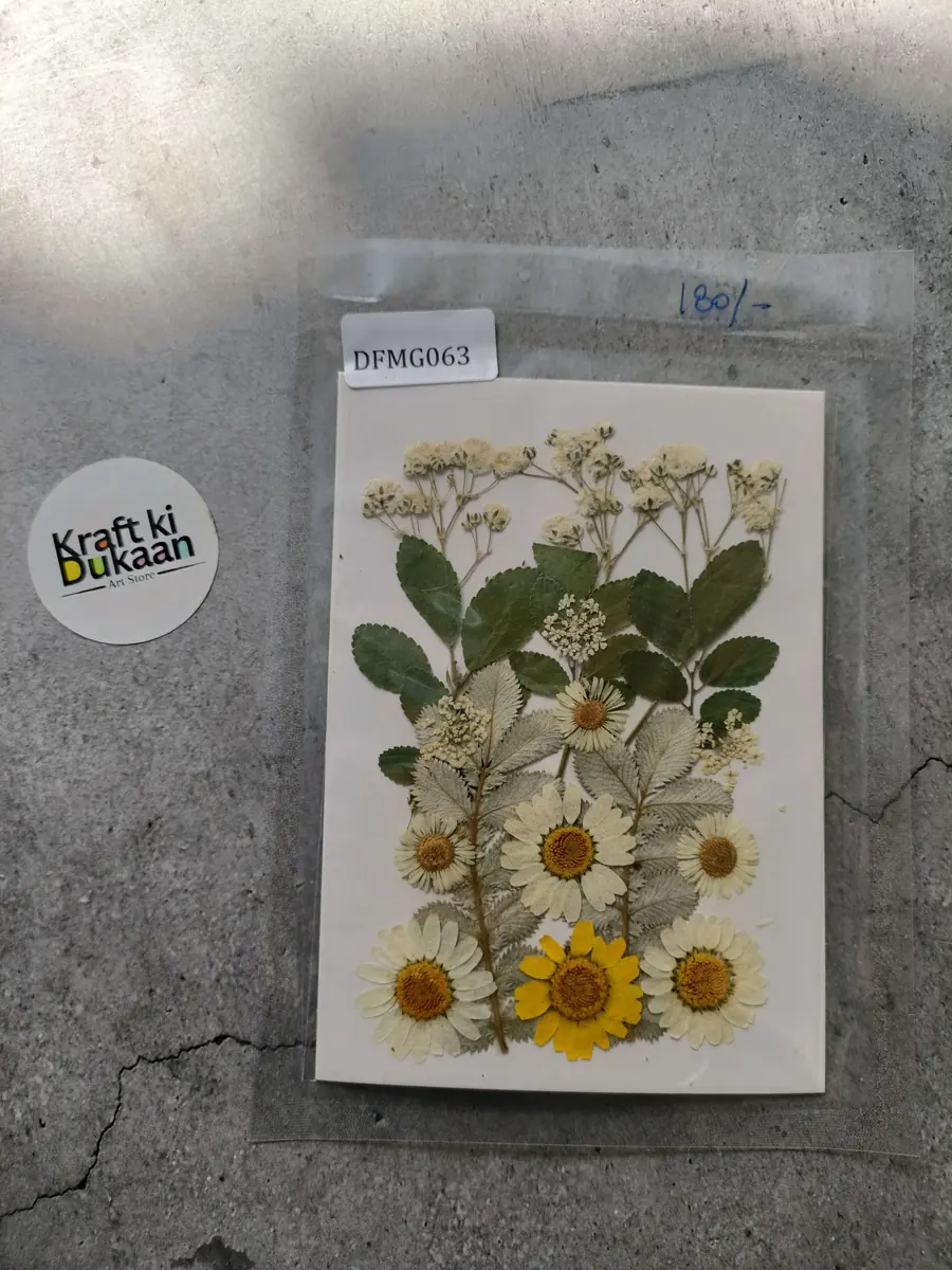 Pressed Flowers