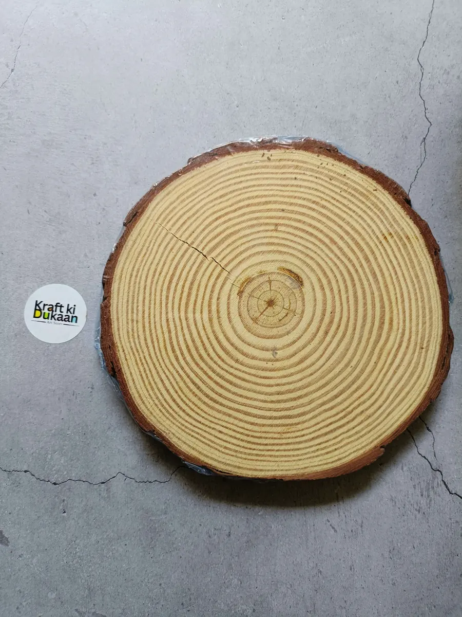 Round Wooden Slice 20-22CM
