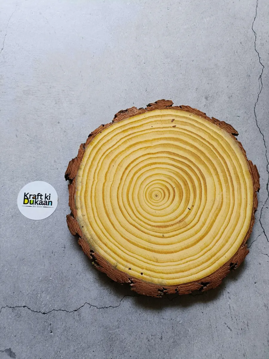 Round Wooden Slice 18-20CM