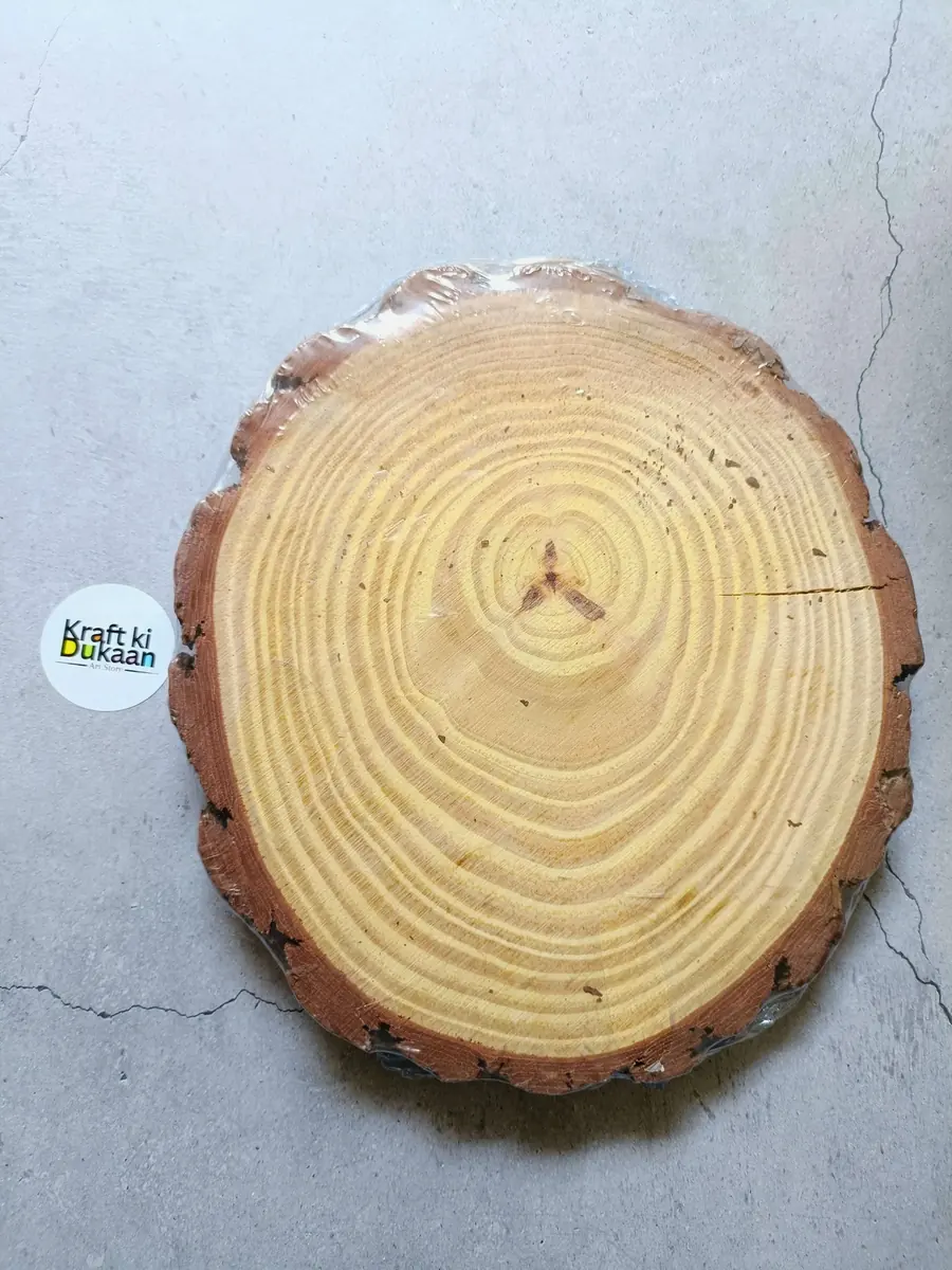 Round Wooden Slice 22-25CM